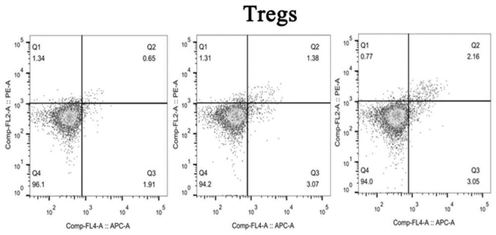 Construction method and application of stem cell quantitative standard for screening immunomodulatory ability of high-quality human umbilical cord mesenchymal stem cells