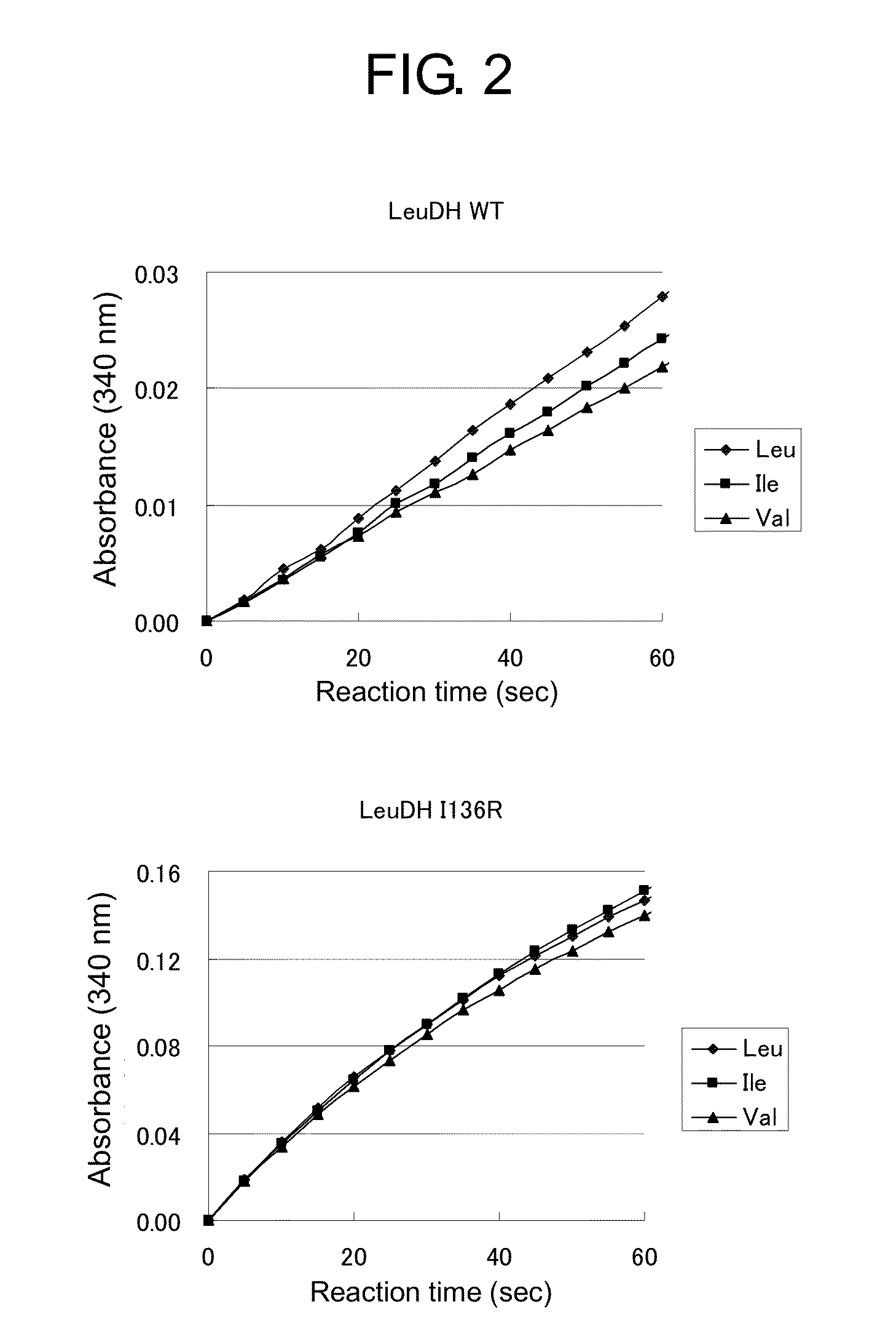 Modified Leucine Dehydrogenase