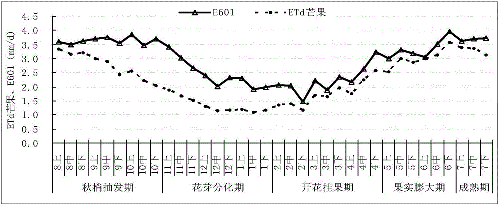 Suitable soil moisture content and irrigation method for mango