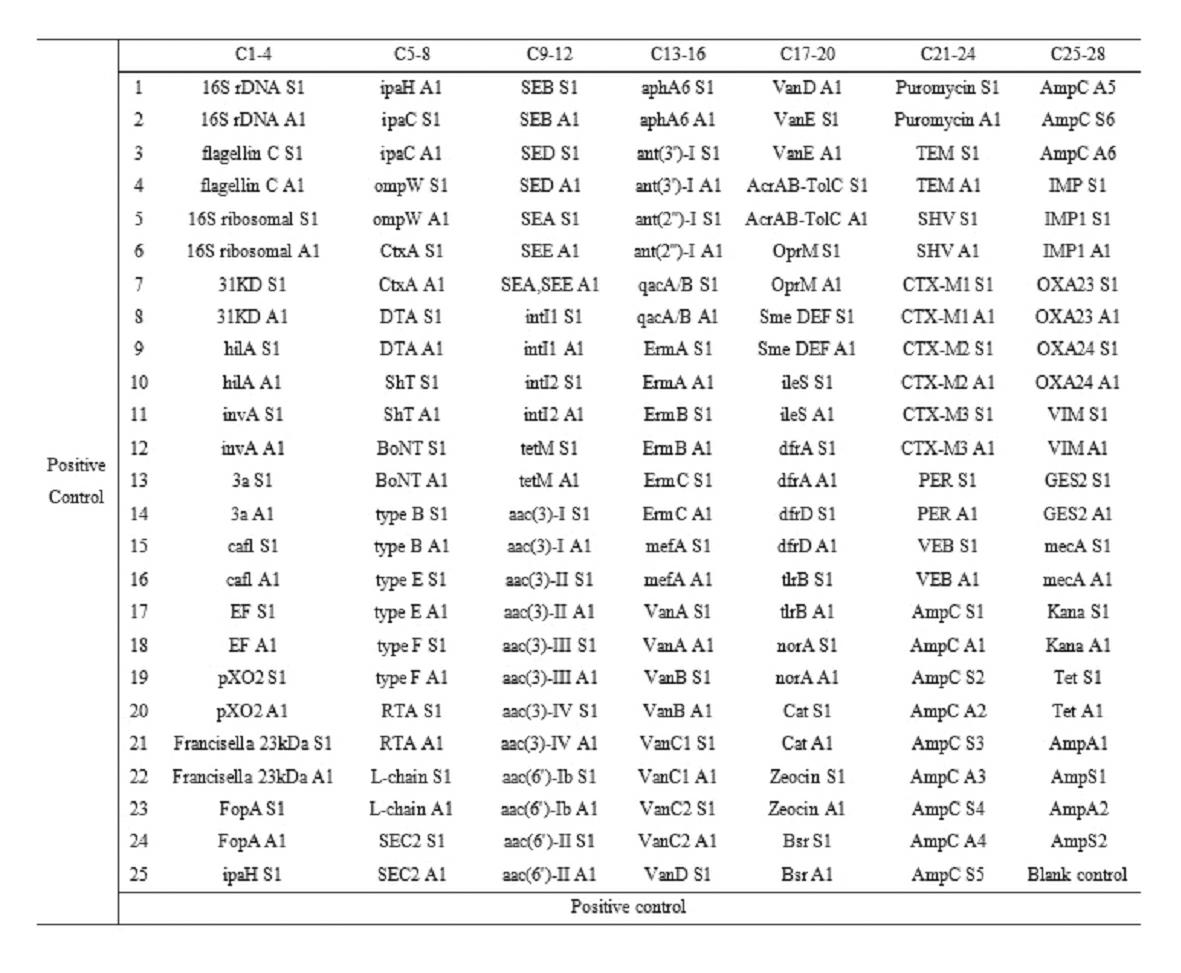 Gene chip for high-flux detection of pathogens and application thereof