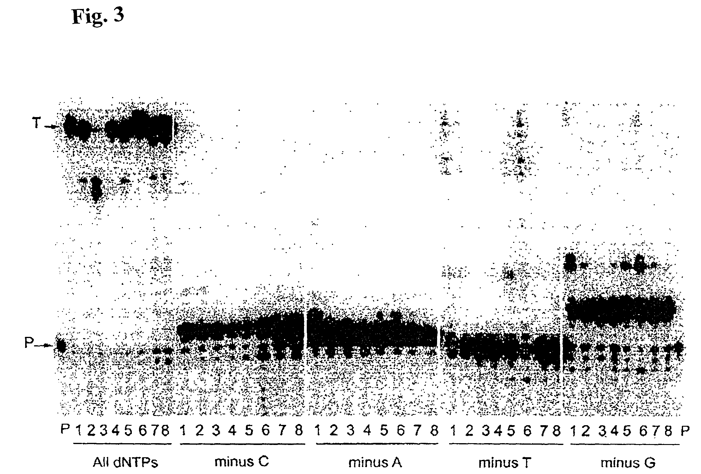 High fidelity reverse transcriptases and uses thereof