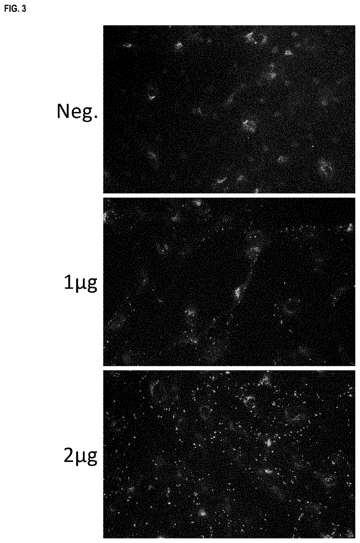 Methods and products for nucleic acid production and delivery