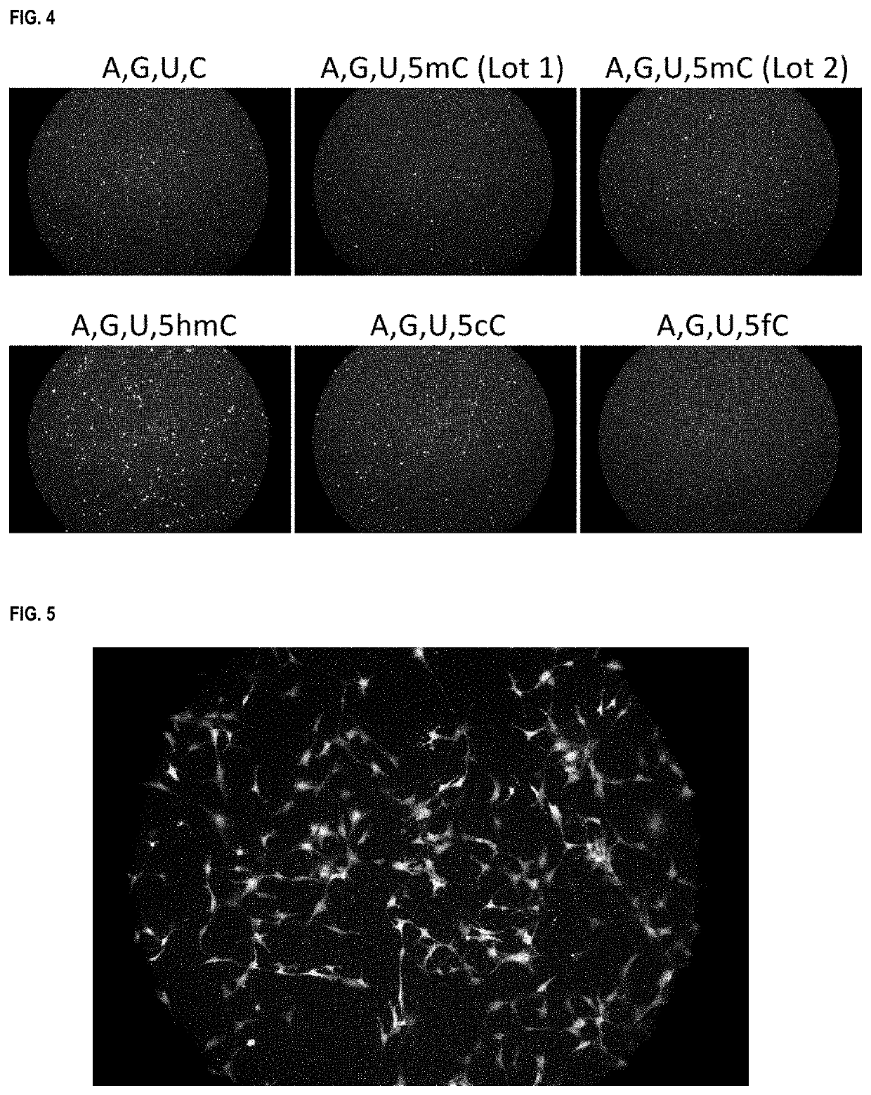 Methods and products for nucleic acid production and delivery