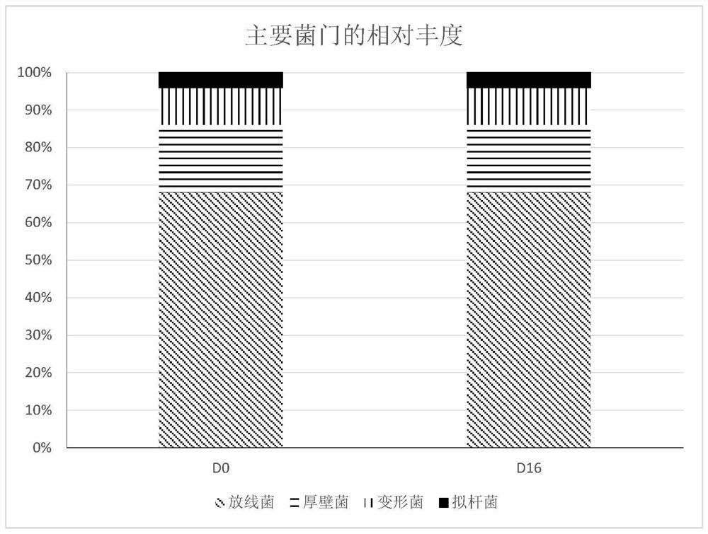 Skin care product for maintaining muscle surface micro-ecological balance