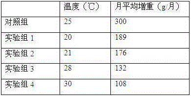 Gastrodia elata f.glauca planting method applicable to flat land