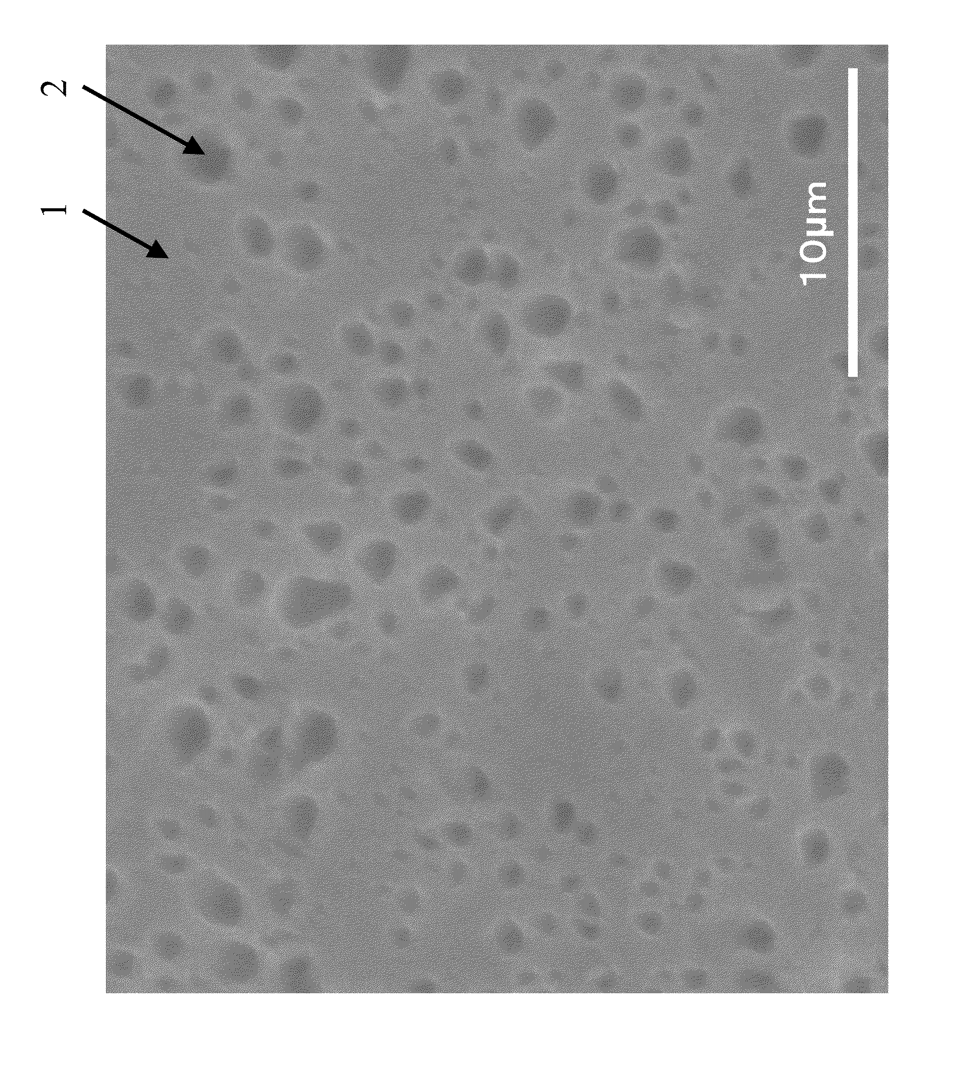 Polymethylpentene conjugate fiber or porous polymethylpentene fiber and fiber structure comprising same