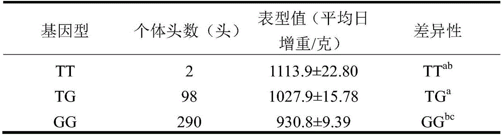 Molecular marker affecting daily gain character of pigs and application of molecular marker