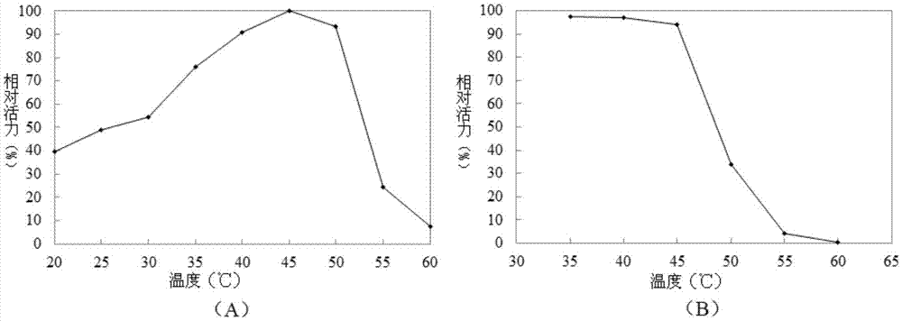 Bacterium beta-galactosidase as well as encoding gene and application thereof