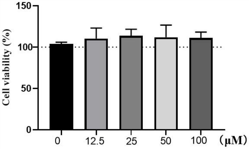 Application of adipic acid in preparation of product for resisting skin light injury