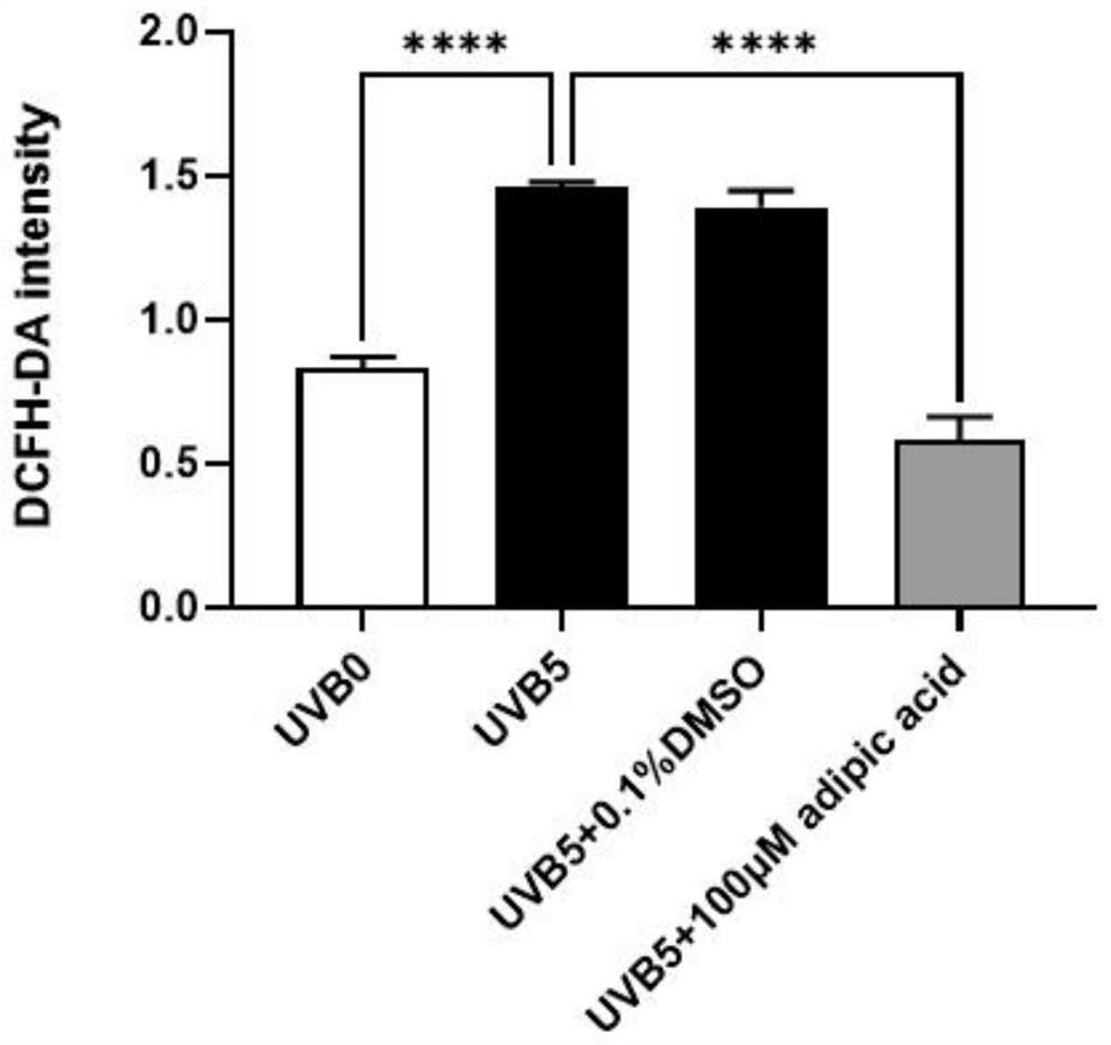 Application of adipic acid in preparation of product for resisting skin light injury