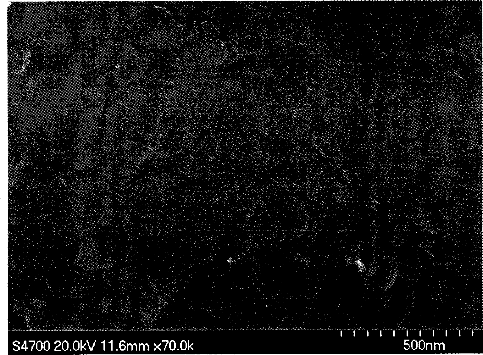 Method for preparing bovine serum albumin hybridized membrane