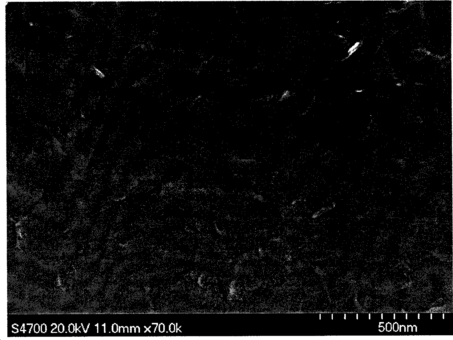 Method for preparing bovine serum albumin hybridized membrane