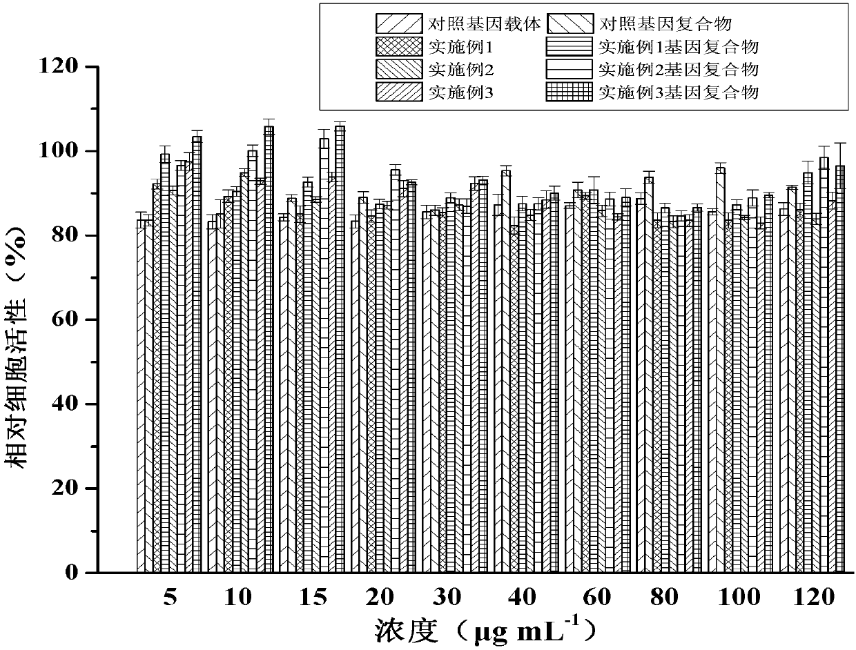 Targeting cell-penetrating peptide vector based on histidine and application