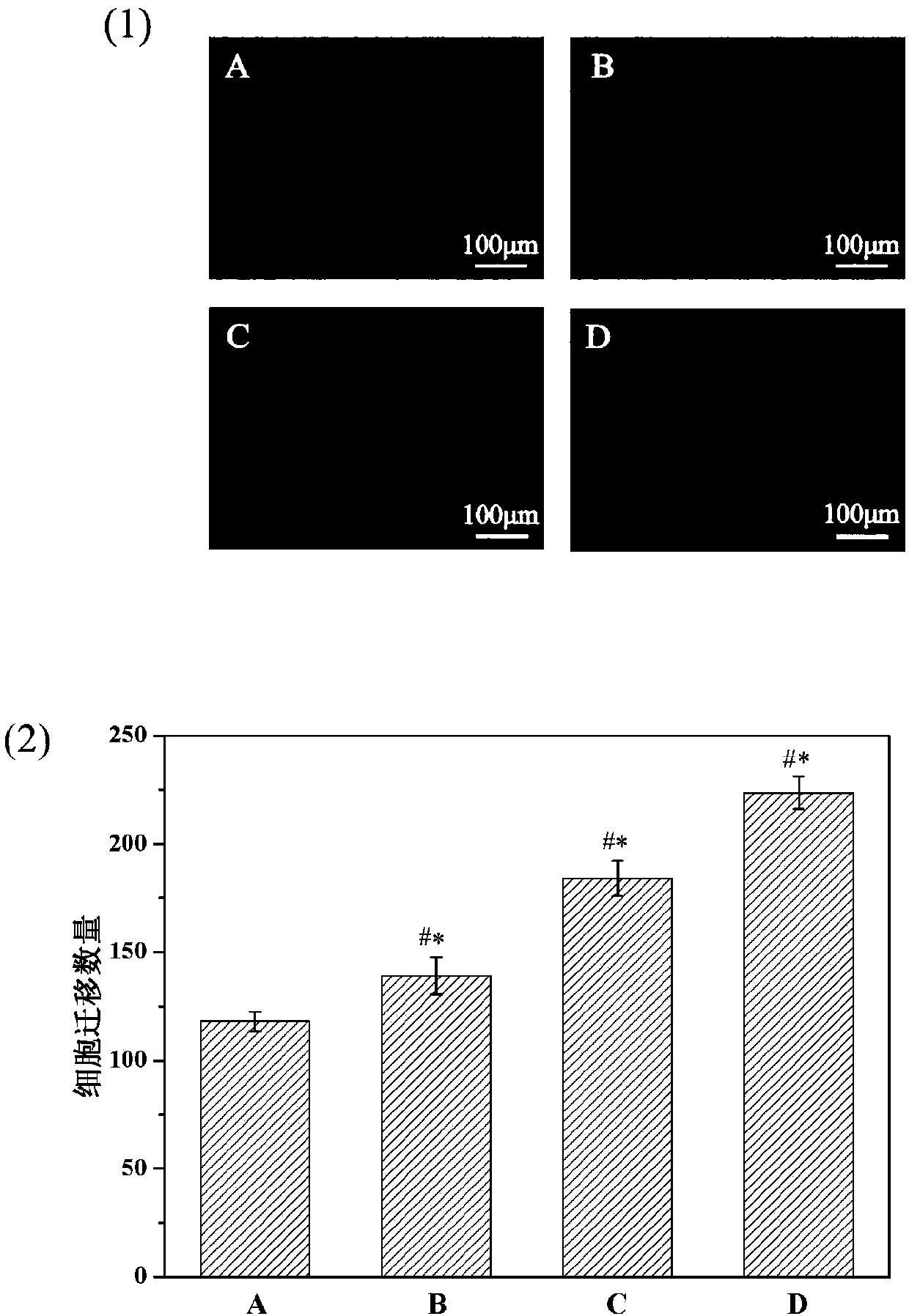 Targeting cell-penetrating peptide vector based on histidine and application