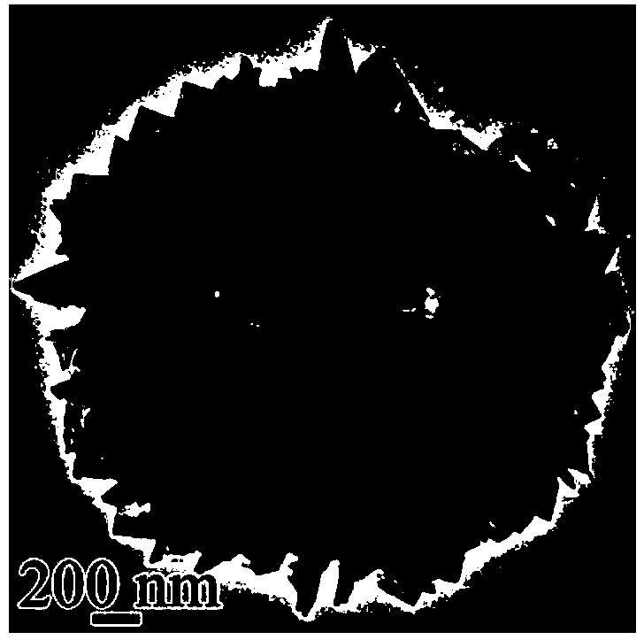 Method for preparing WO3.H2O hollow sphere assembled by nanosheets