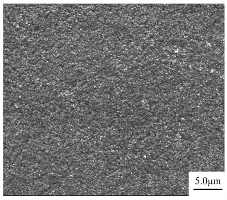 Method for electroplating nano composite plated layer