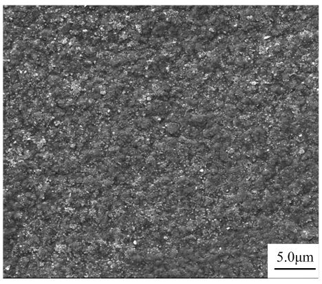 Method for electroplating nano composite plated layer