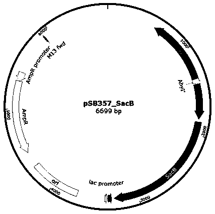 Method for rapidly screening bacterial quorum sensing inhibitor (QSI) by utilizing suicide gene