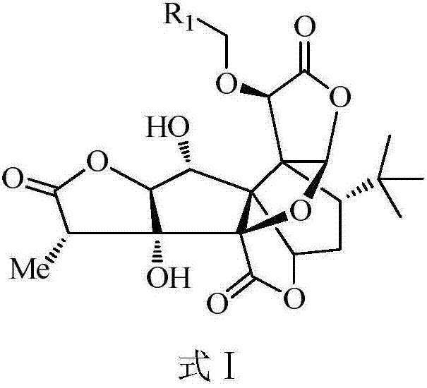 Ginkgolide B derivative as well as preparation method and application thereof