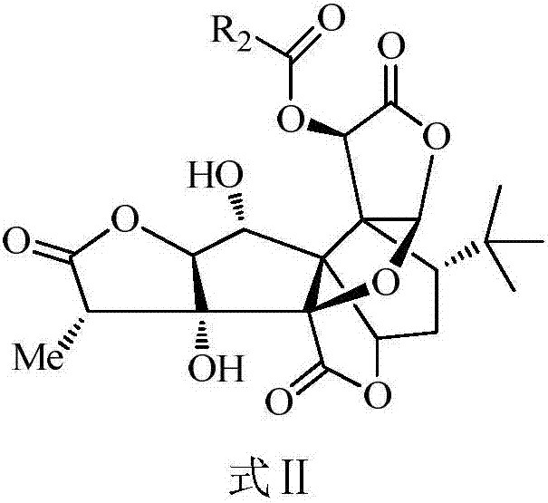 Ginkgolide B derivative as well as preparation method and application thereof