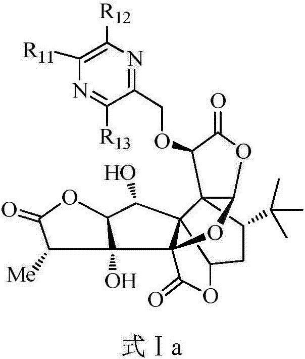 Ginkgolide B derivative as well as preparation method and application thereof