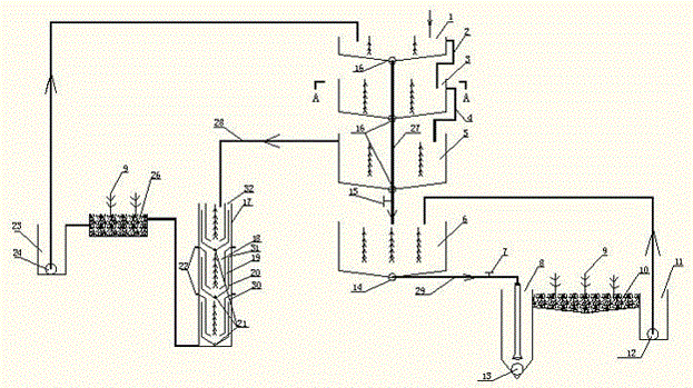 Layered fish and shrimp circulating water polyculture system