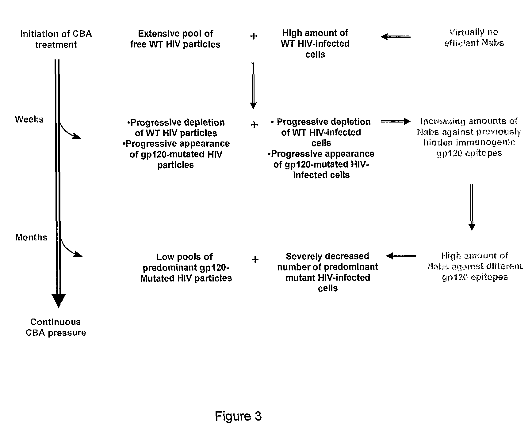 Antiviral therapies