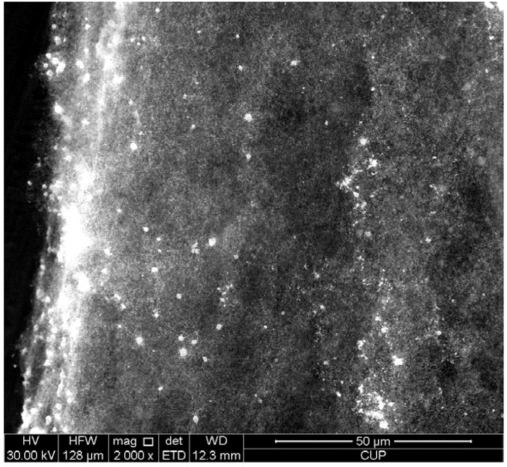 Method for preparing carbon nano tube by taking coke as raw material and prepared carbon nano tube