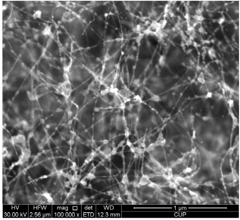 Method for preparing carbon nano tube by taking coke as raw material and prepared carbon nano tube