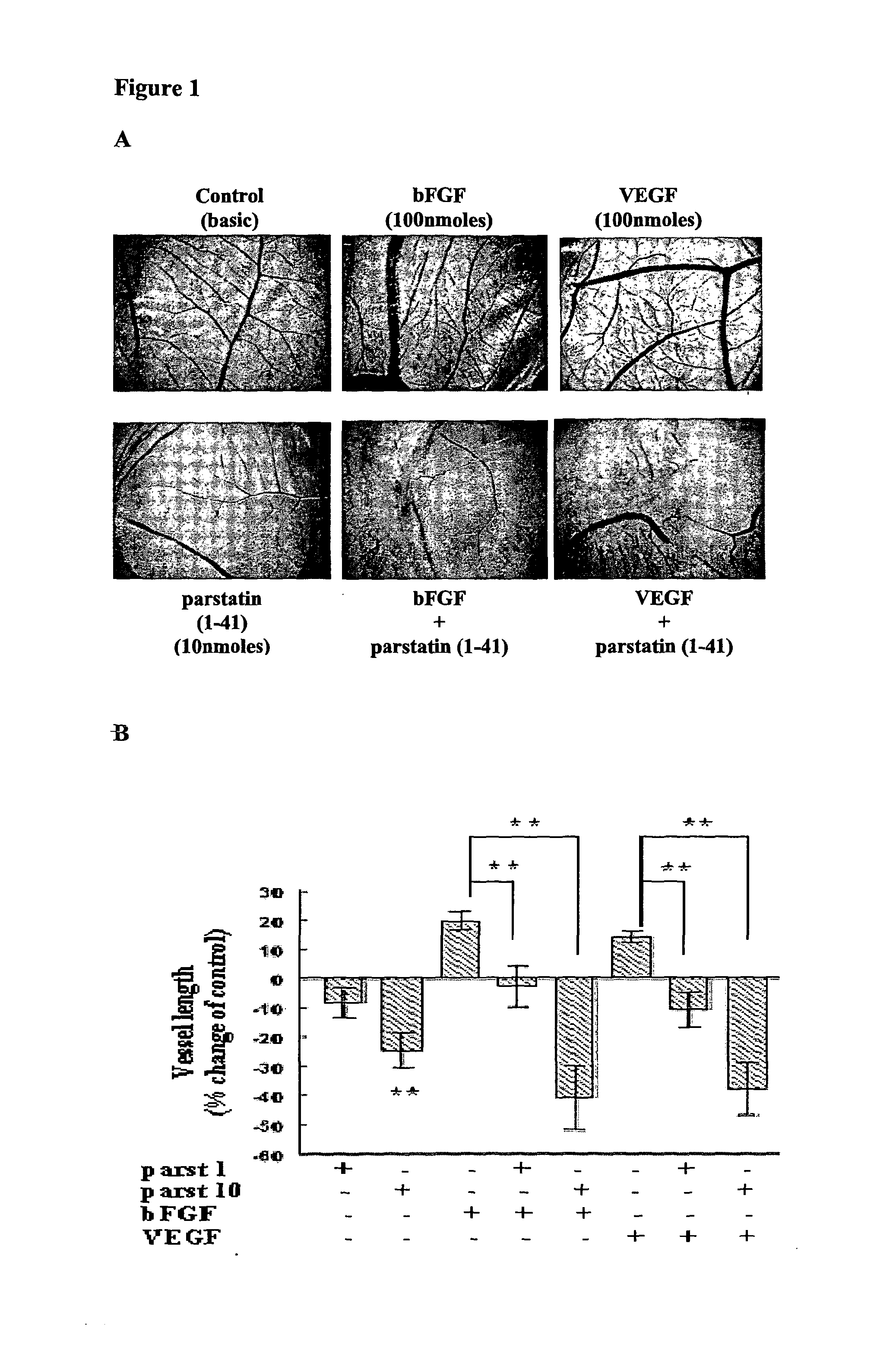 Parstatin peptides