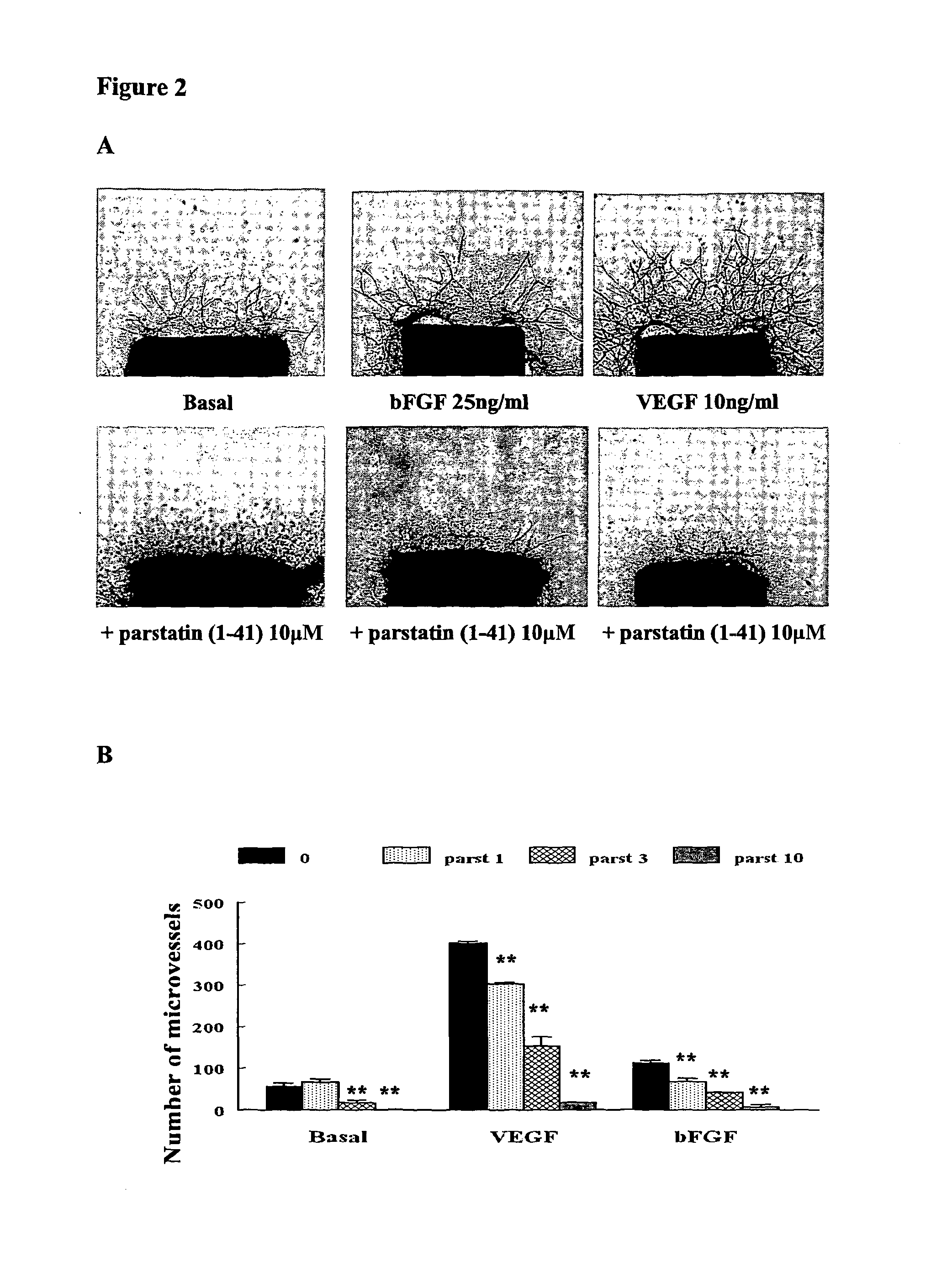 Parstatin peptides