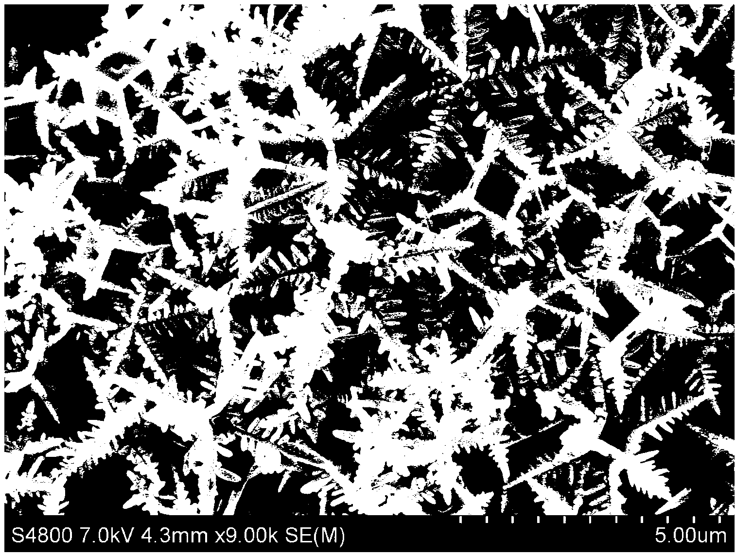 Three-dimensional dendritic silver chloride crystal growing in direction (111) and preparation method thereof, and photocatalyst