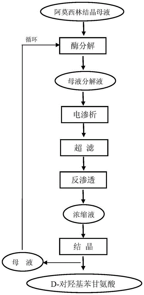 Recovery method for D-hydroxyphenylglycine in amoxicillin crystallization mother liquor of enzymatic synthesis