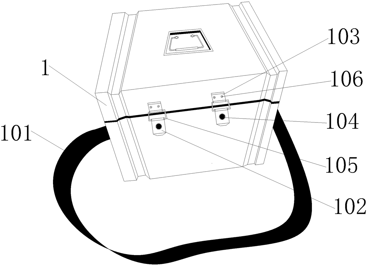 Microbe rapid detection kit