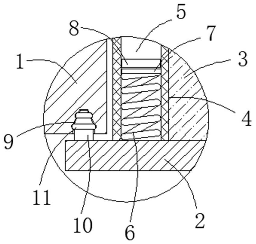 Mycoplasma drug sensitivity fluorescence detection system and detection method