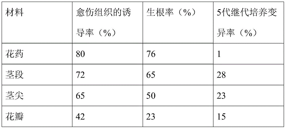 A kind of method for rapid multiplication of ground pepper