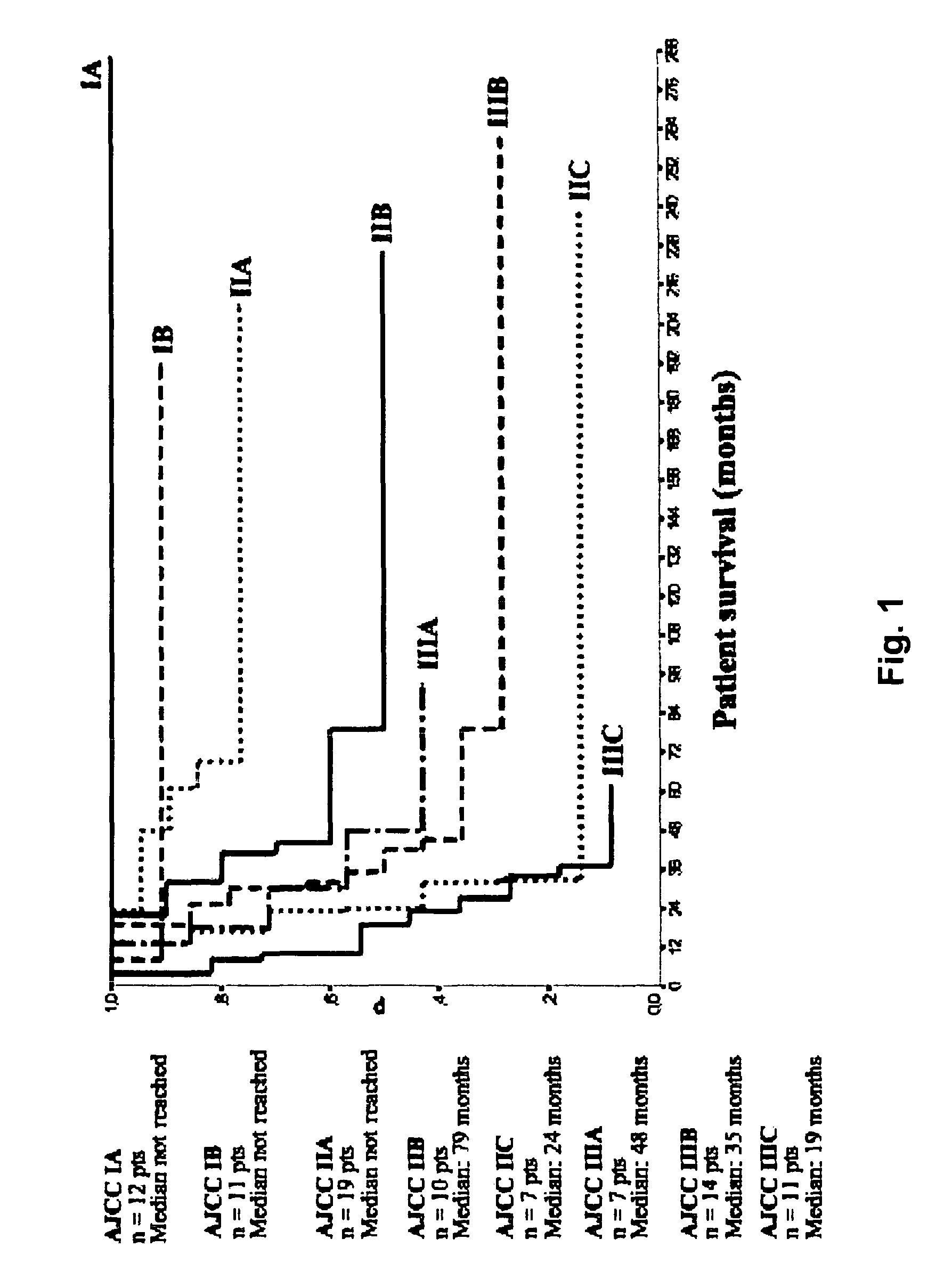 Methods of predicting clinical outcome in malignant melanoma