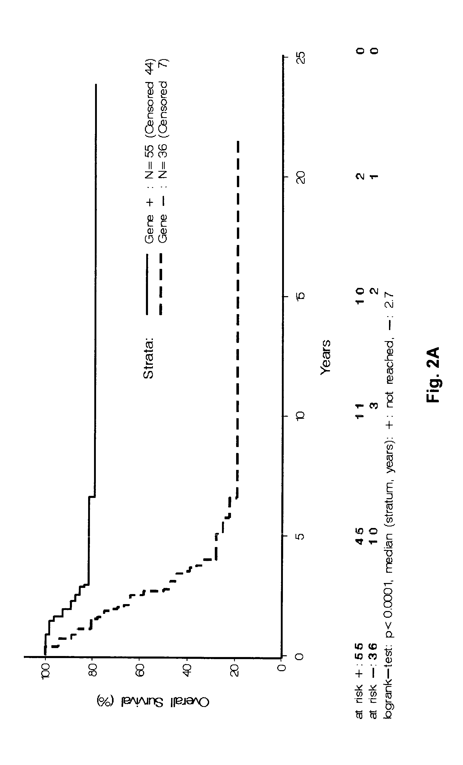 Methods of predicting clinical outcome in malignant melanoma