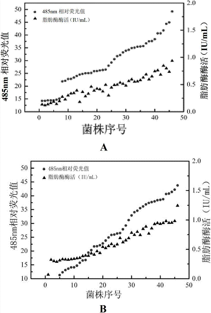 Method for high-throughput screening recombinant trichoderma reesei for efficiently expressing foreign protein