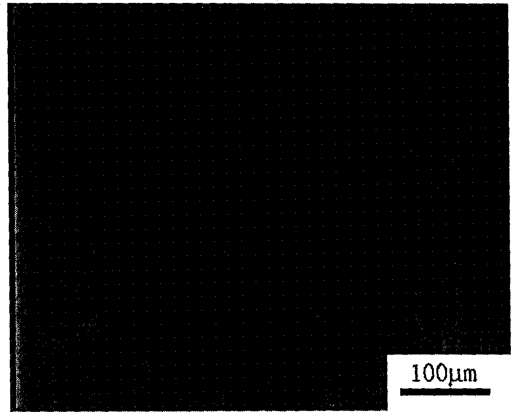 Multiple step method for preparing intelligence type degradable macromolecular microgel