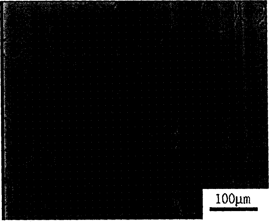 Multiple step method for preparing intelligence type degradable macromolecular microgel