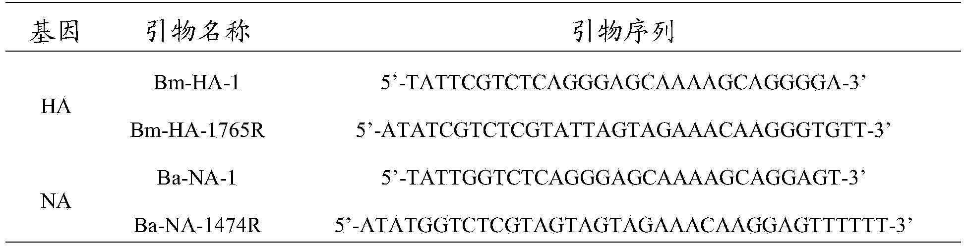 Recombinant canine influenza virus strain and preparation method thereof as well as vaccine prepared from recombinant canine influenza virus strain