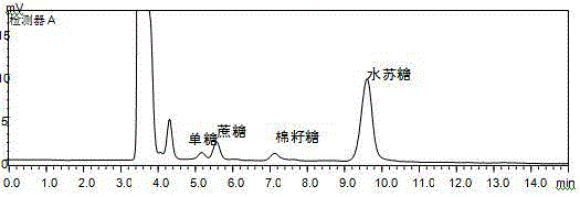 Industrial production method for extracting stachyose from radix rehmanniae