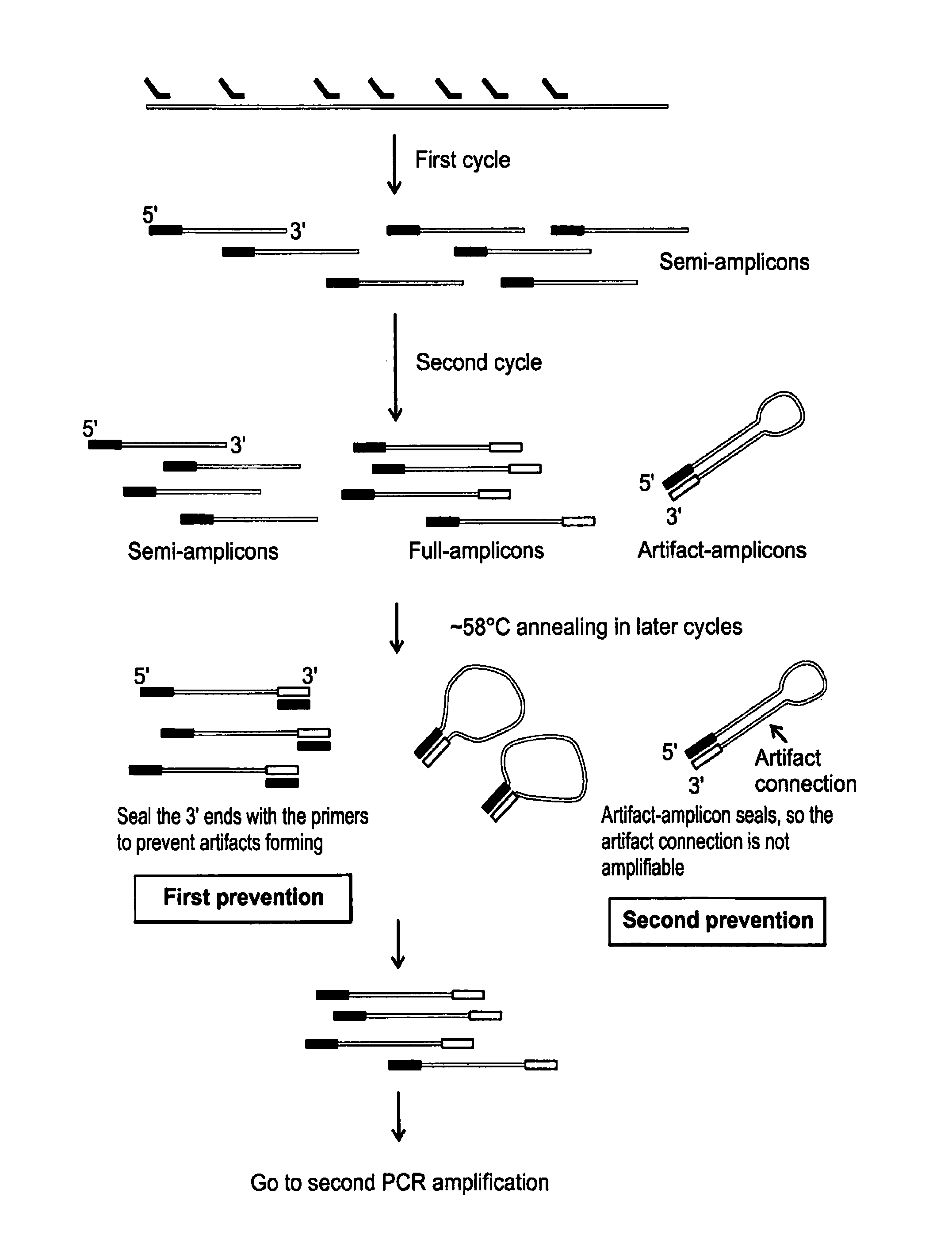 Methods of Amplifying Whole Genome of a Single Cell