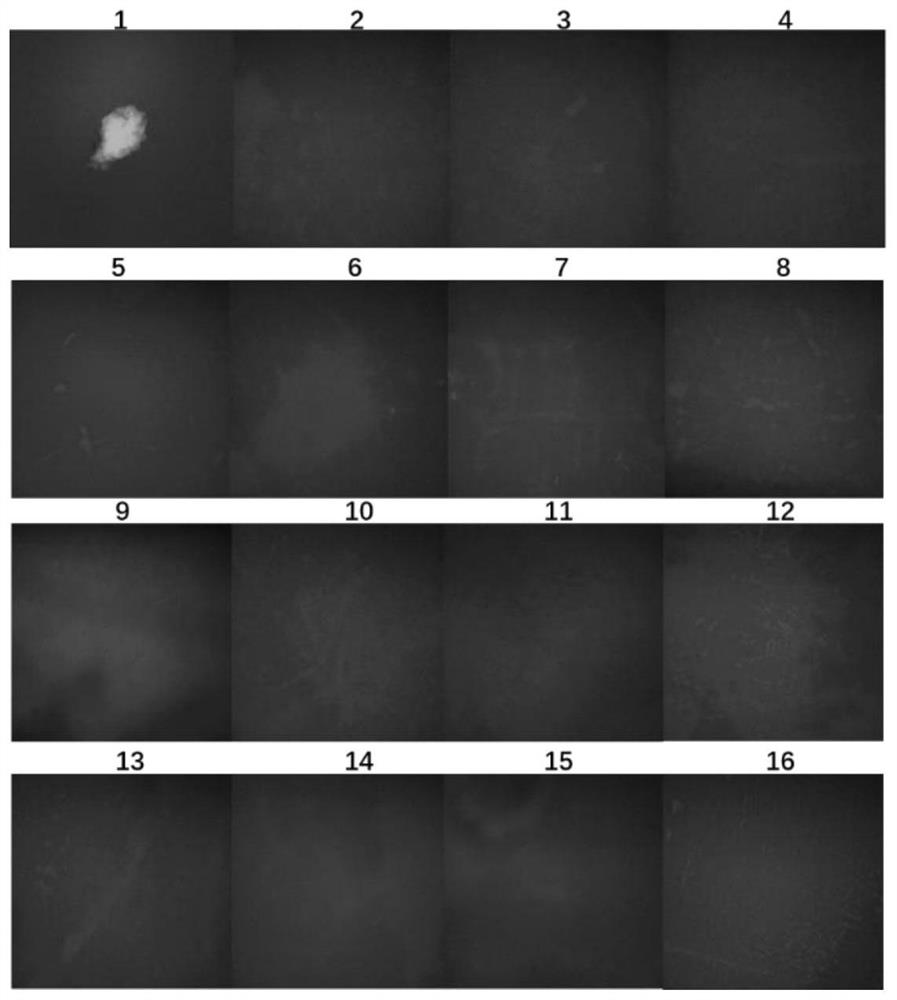 Application and method of imp gene in preparation of kit for detecting Riemerella anatipestifer serotype 1