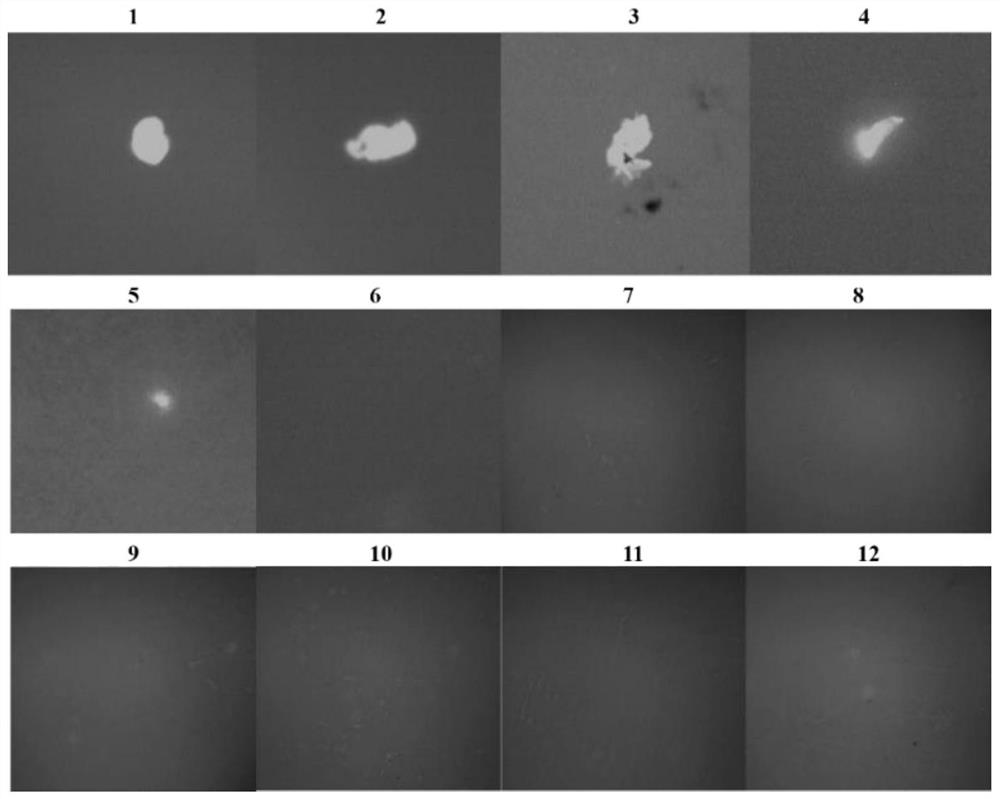 Application and method of imp gene in preparation of kit for detecting Riemerella anatipestifer serotype 1