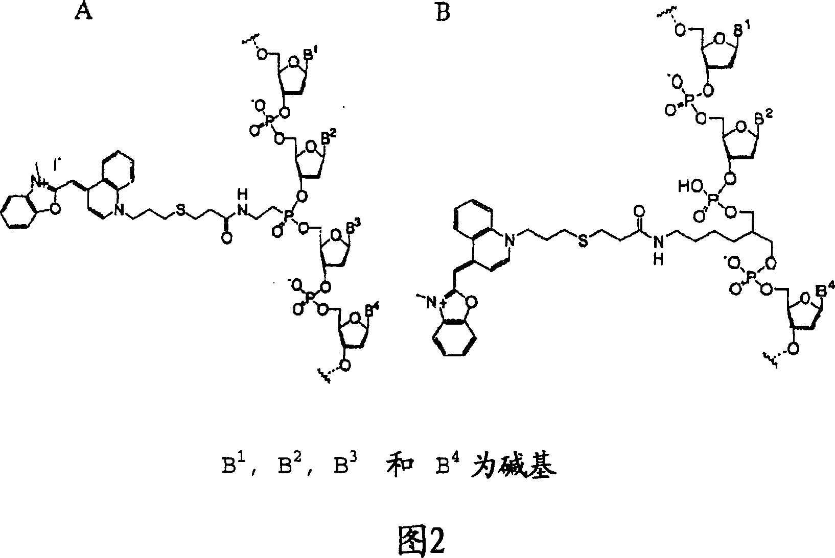 Method of detecting micrometastasis