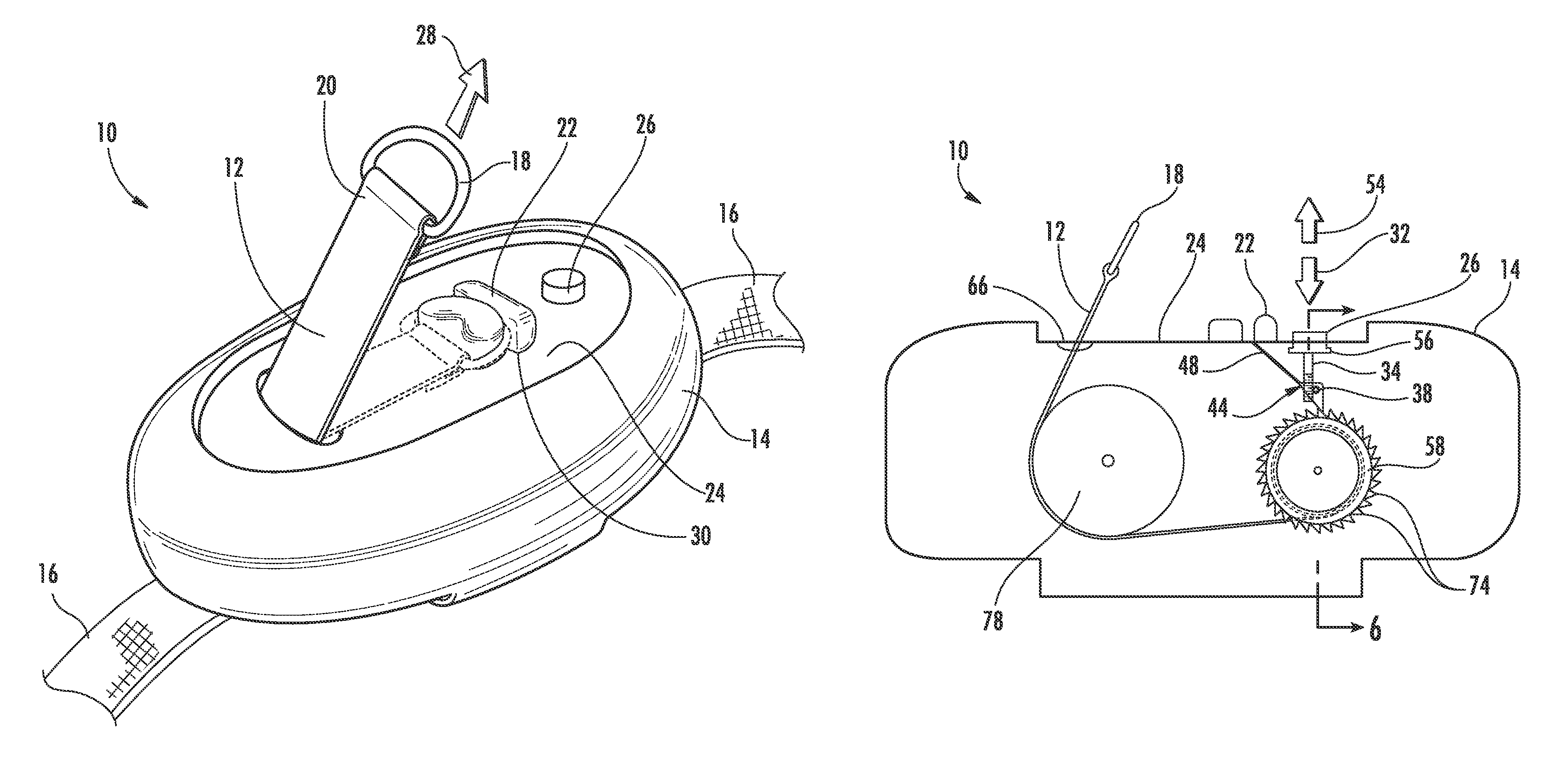 Pet collar having retractable leash