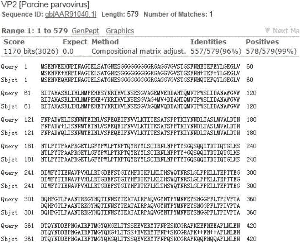 Porcine parvovirus, porcine epizootic diarrhea and Escherichia coli triple-antigen vaccine