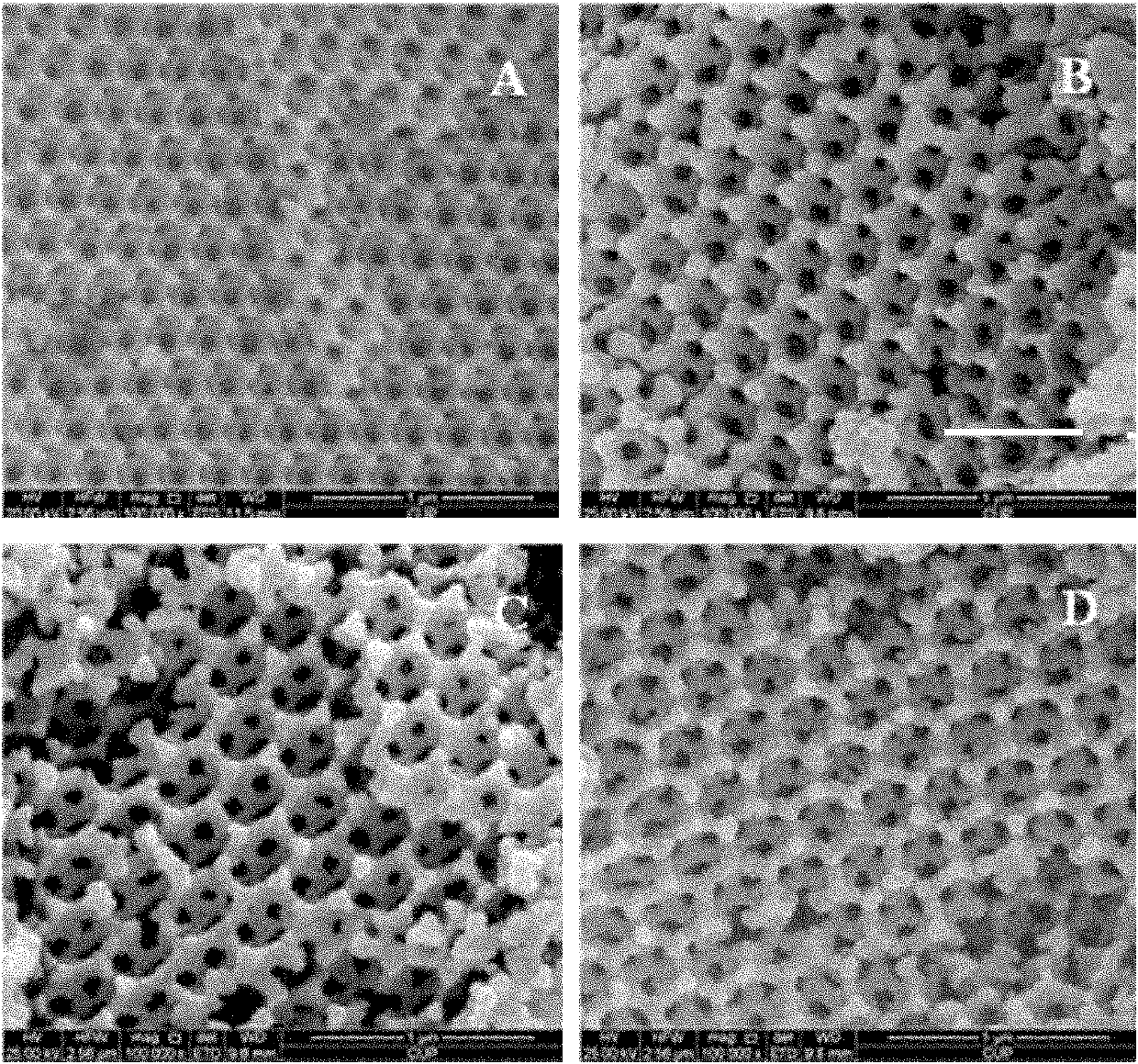 Three-dimensional ordered porous-mesoporous iron-based perovskite oxide catalyst and preparation method thereof